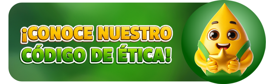 Ver PDF
